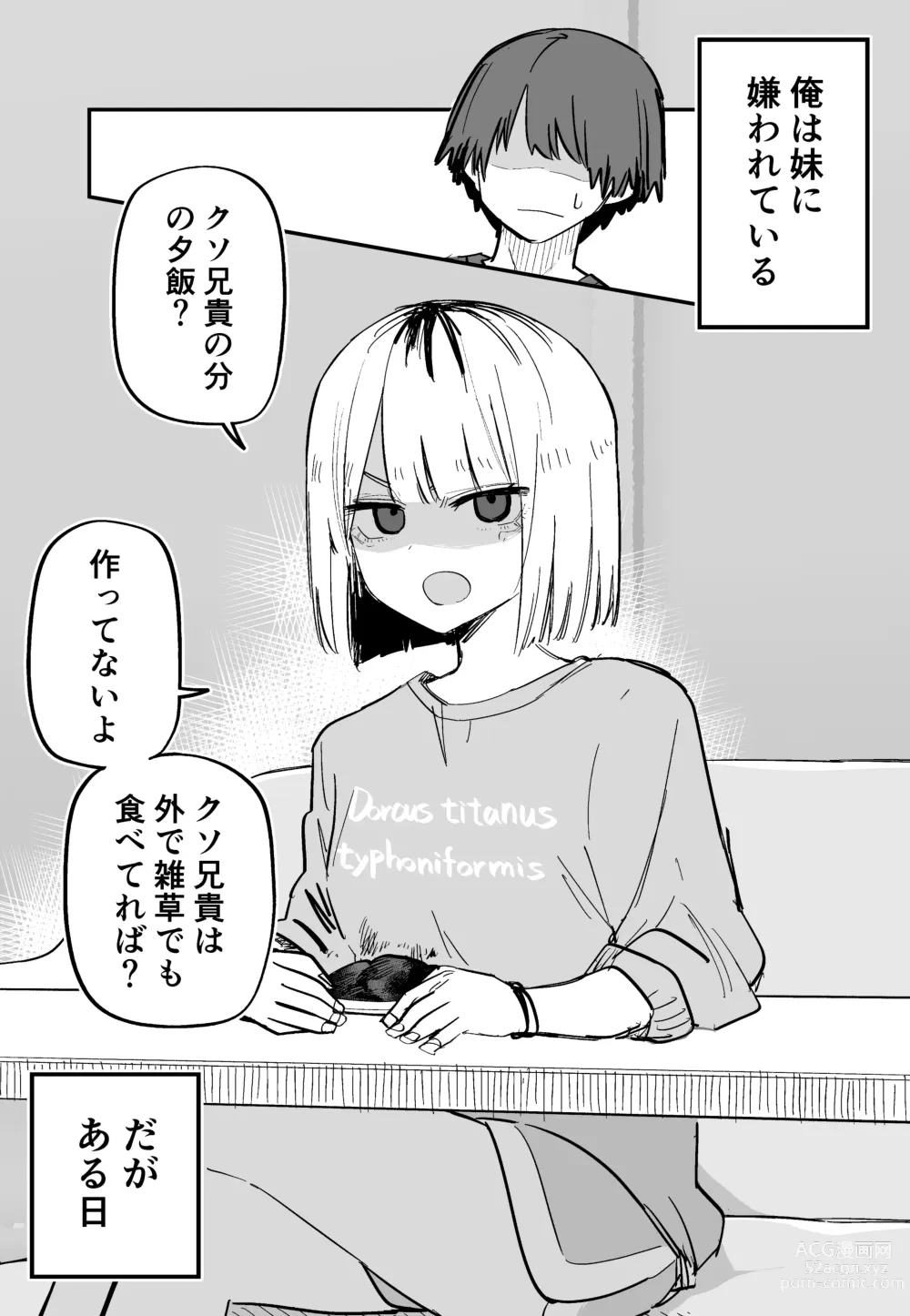 Page 64 of doujinshi Ore no Koto ga Daikirai na Imouto ga Kowai