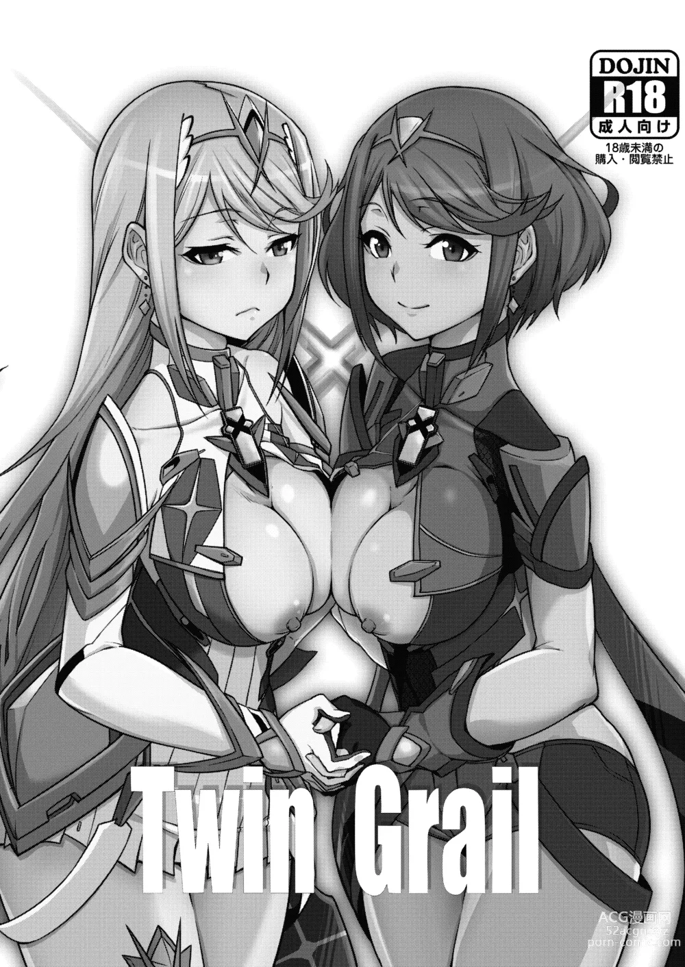 Page 29 of doujinshi Twin Grail