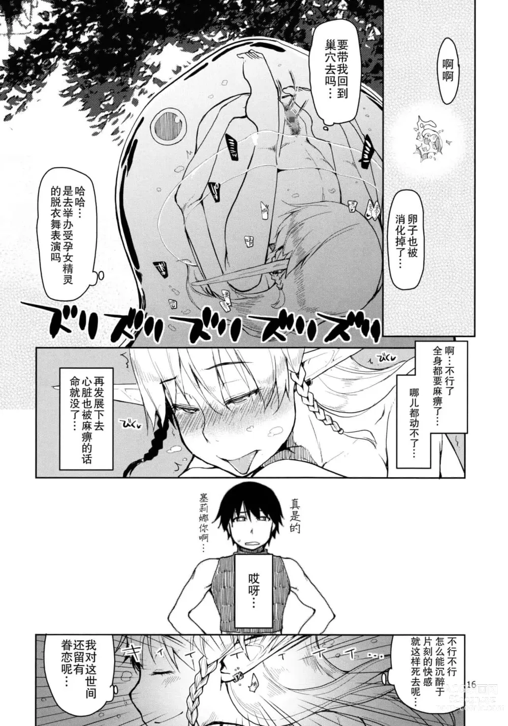 Page 17 of doujinshi ドスケベエルフの異種姦日記 1—11