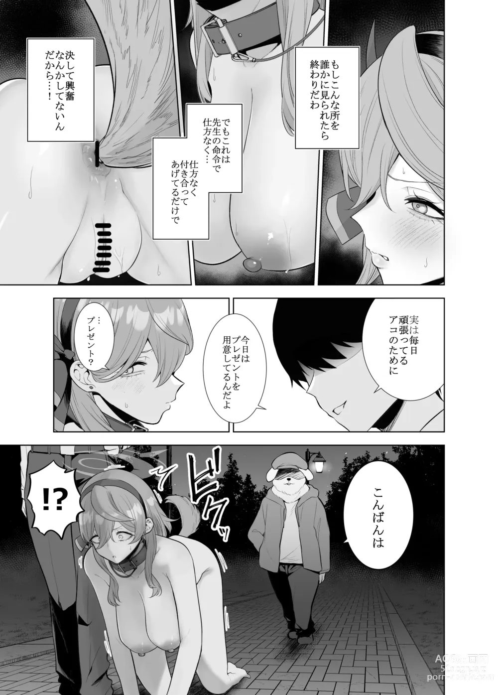 Page 5 of doujinshi Ako Sanpo