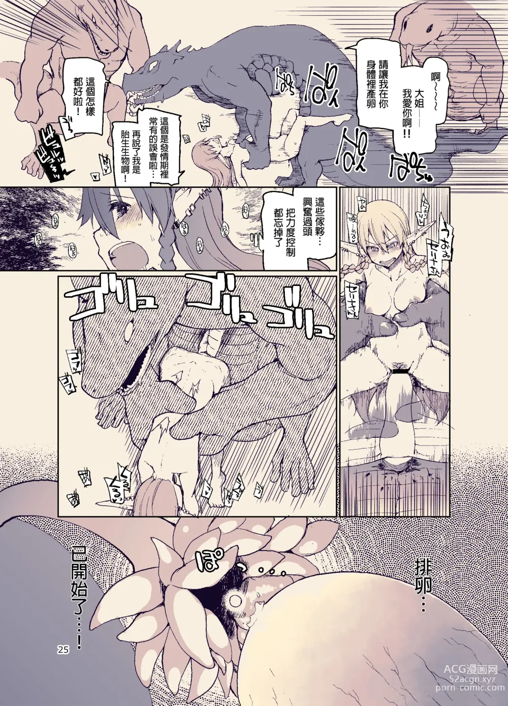 Page 27 of doujinshi Dosukebe Elf no Ishukan Nikki 11