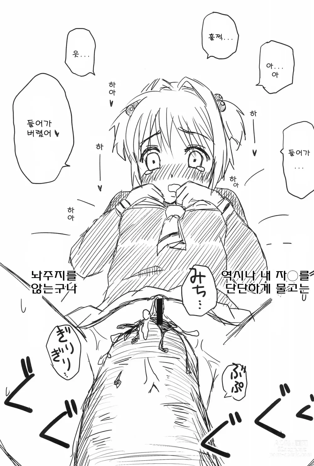 Page 19 of doujinshi 사쿠라의 처음