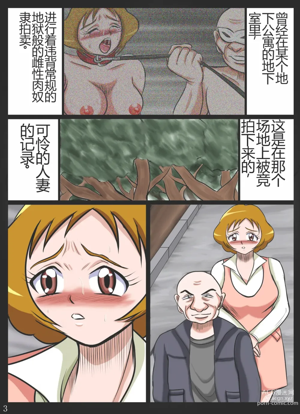 Page 3 of doujinshi Kougyaku Maso Jukujo Kanraku Funsha Ojoku Higyaku Jukujo Momozono Ayumi