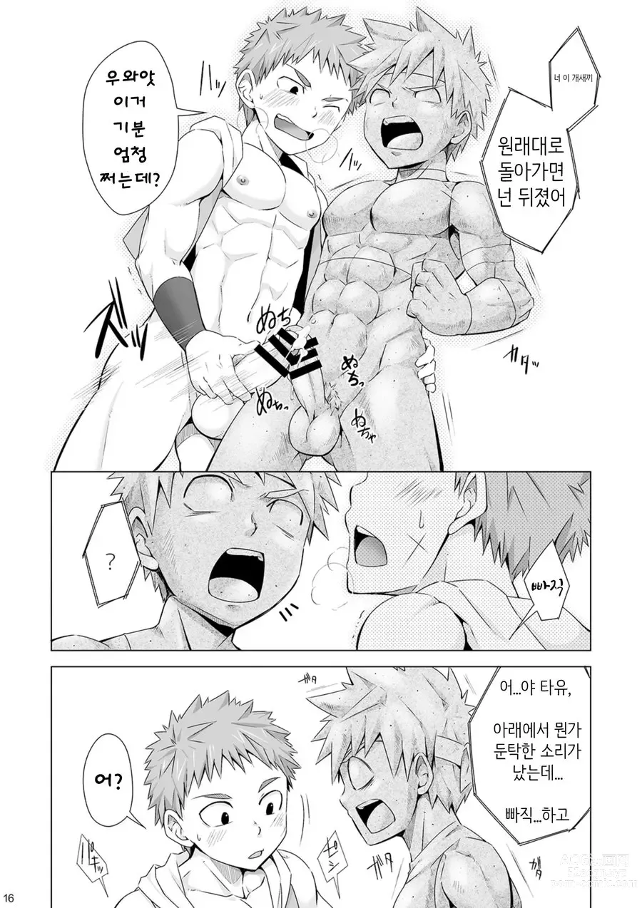 Page 17 of doujinshi 스톤드