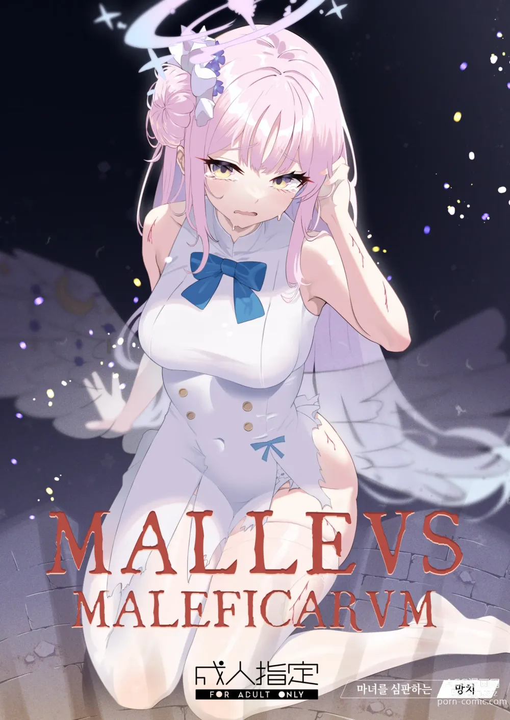 Page 1 of doujinshi Malleus Maleficarum -마녀를 심판하는 망치-