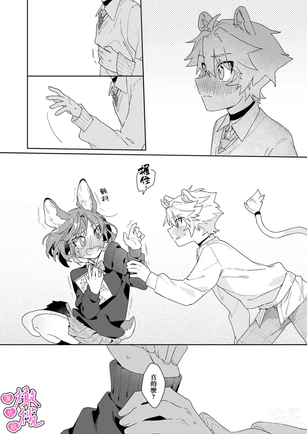 Page 17 of doujinshi kiminokoe de boku o tokashite ~ raion-kun no binkanna o mimi ♡~[R 18-ban]｜你的声音将我融化～狮子君敏感的耳朵♡～