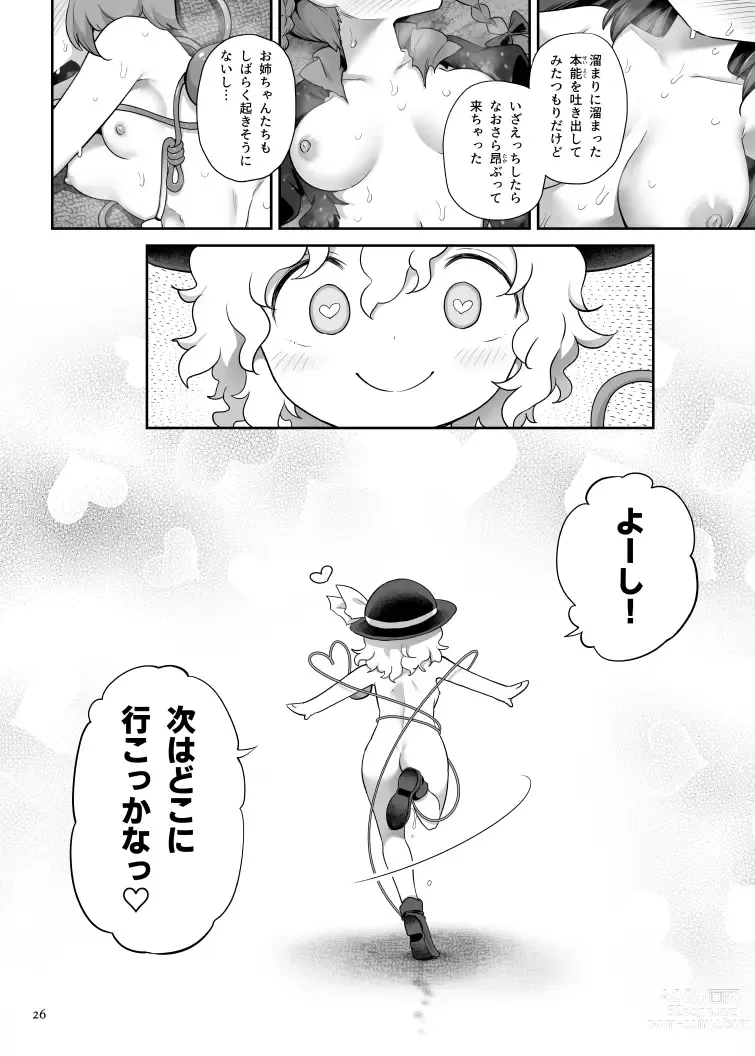 Page 25 of doujinshi [Unmei no Ikasumi (Harusame) Super Id (Touhou Project) [Digital]