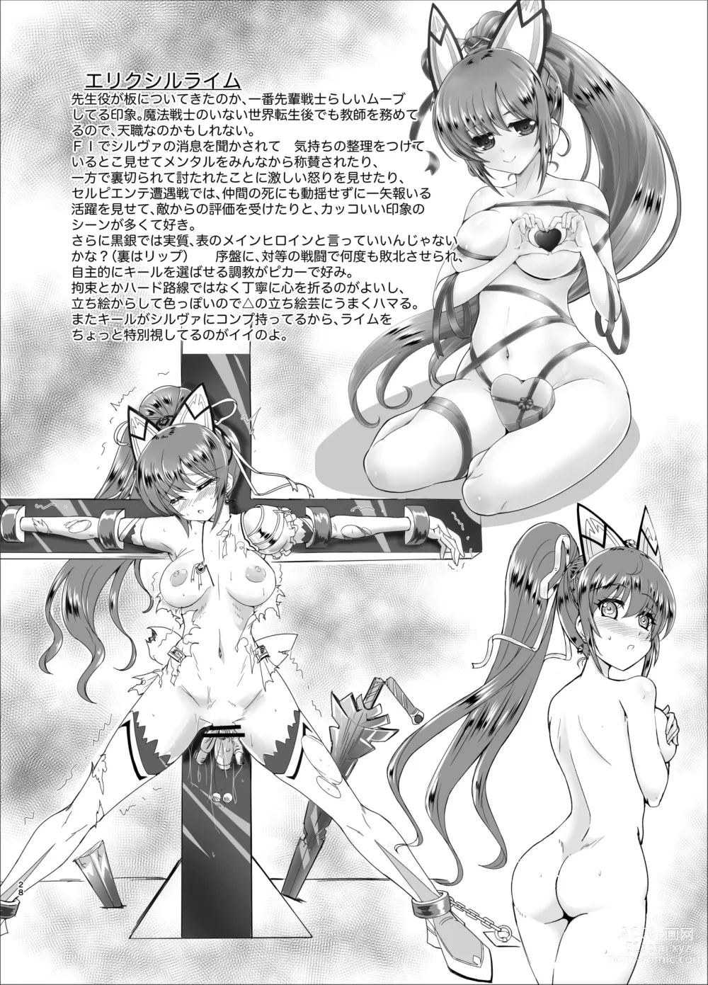 Page 28 of doujinshi Mahou Senshi Forever Ignition