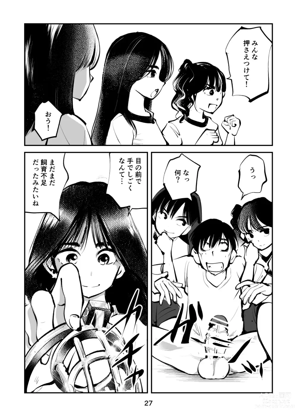 Page 27 of doujinshi Chinpo Shiikukakari 5