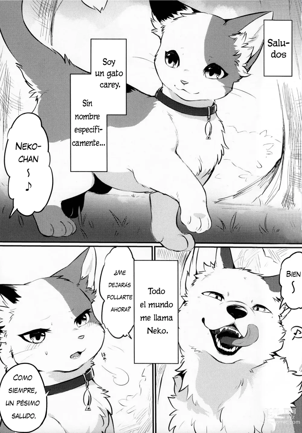 Page 3 of doujinshi Sukimono Doushi (decensored)