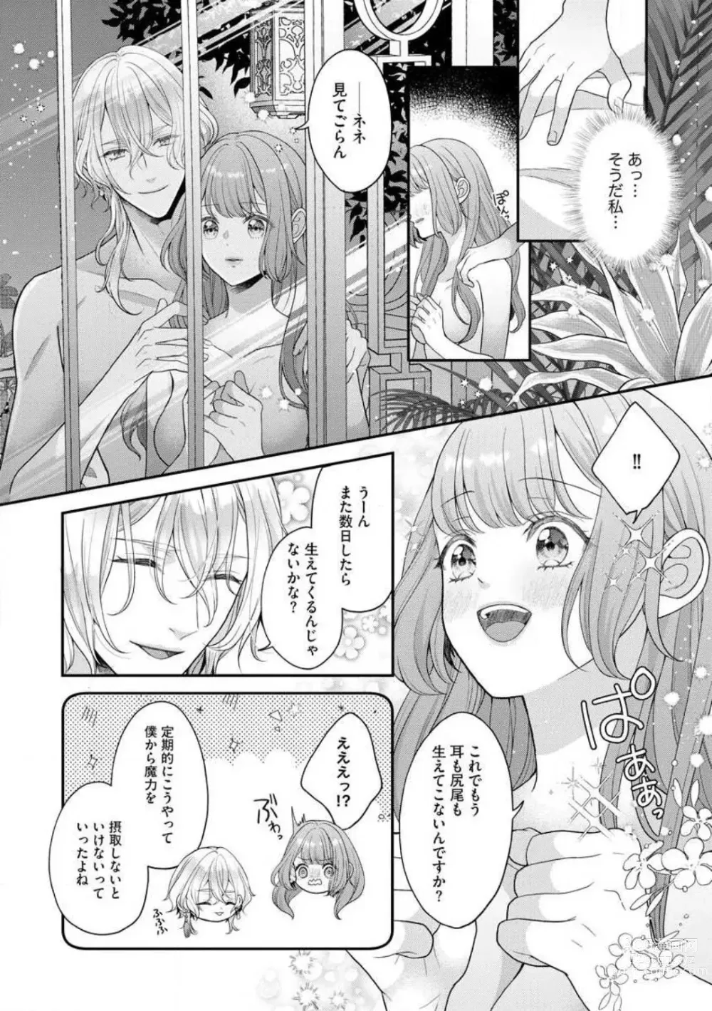 Page 33 of manga Nene to Ikoku no Mahoutsukai Isekai ni Shoukan Sareta to Omottara, Naze ka Koneko to shite Aigan Saretemasu 1-5