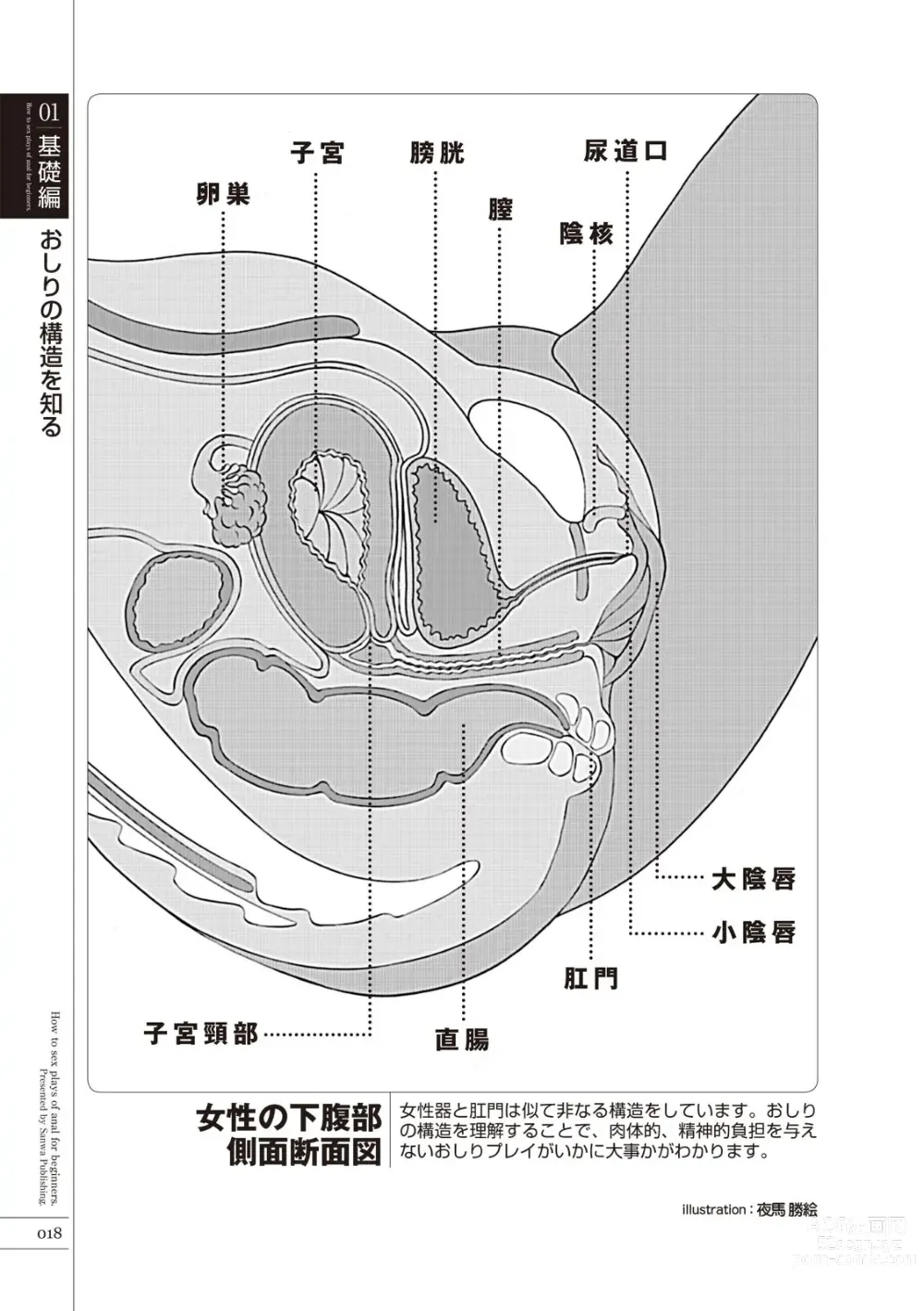 Page 20 of manga いますぐデキる 図説おしりエッチマニュアル