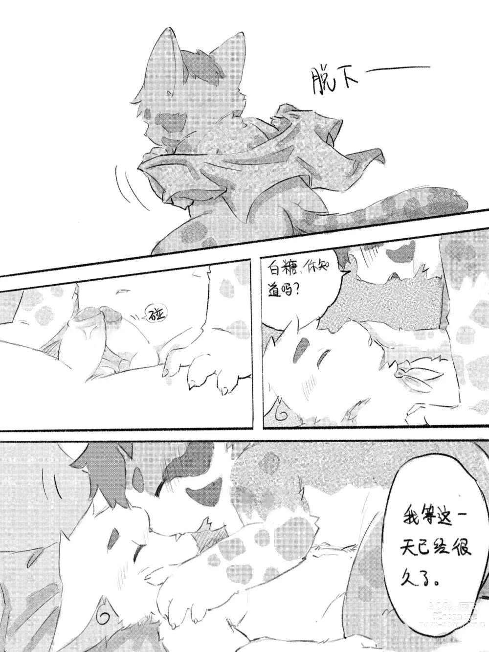 Page 34 of doujinshi 京剧猫同人本悠狸×白糖