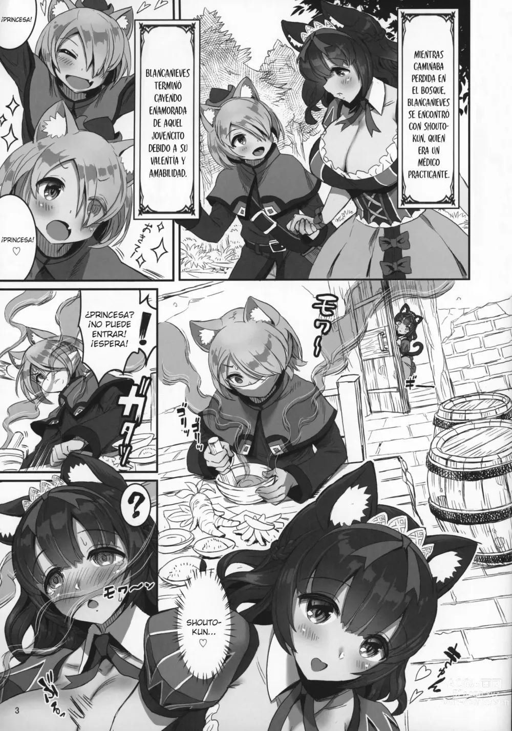 Page 3 of doujinshi Kemomimi Douwashuu Shirayukihime-chan