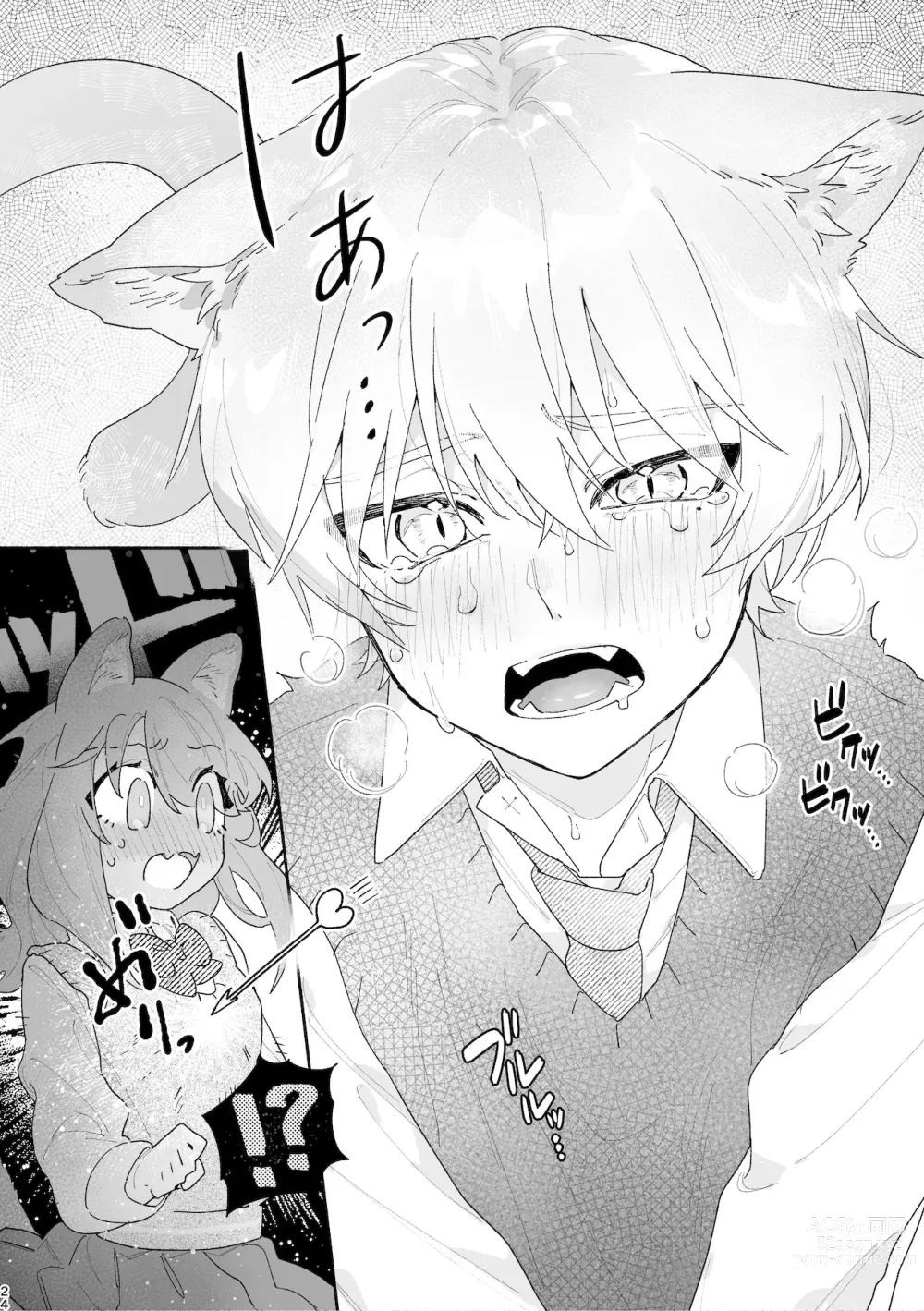 Page 25 of doujinshi ♂이 수비. 고양이 쨩 × 고양이 군