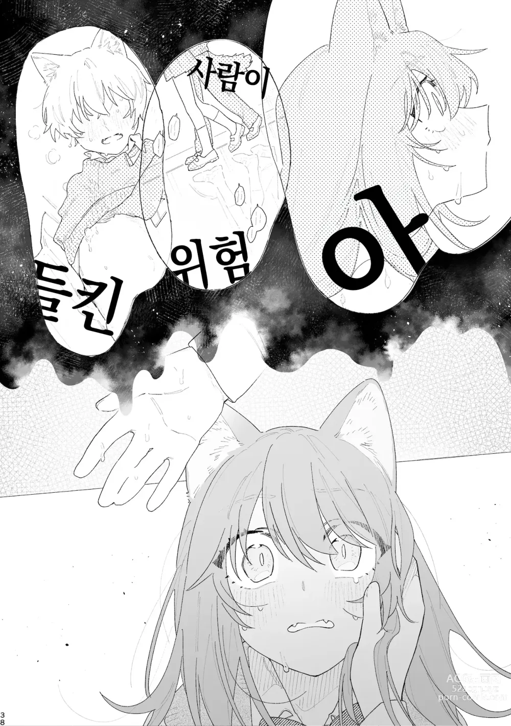 Page 39 of doujinshi ♂이 수비. 고양이 쨩 × 고양이 군