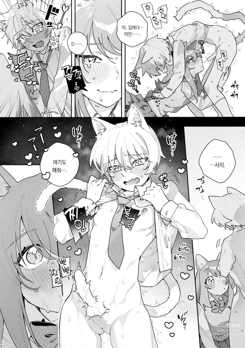 Page 51 of doujinshi ♂이 수비. 고양이 쨩 × 고양이 군