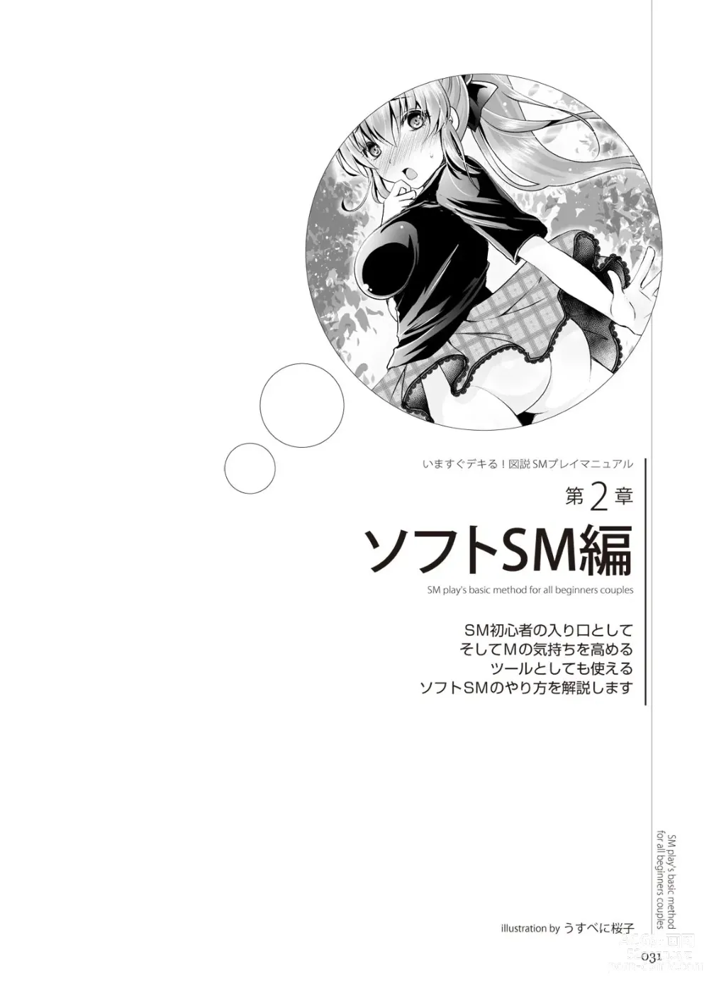 Page 31 of manga いますぐデキる 図説SMプレイマニュアル