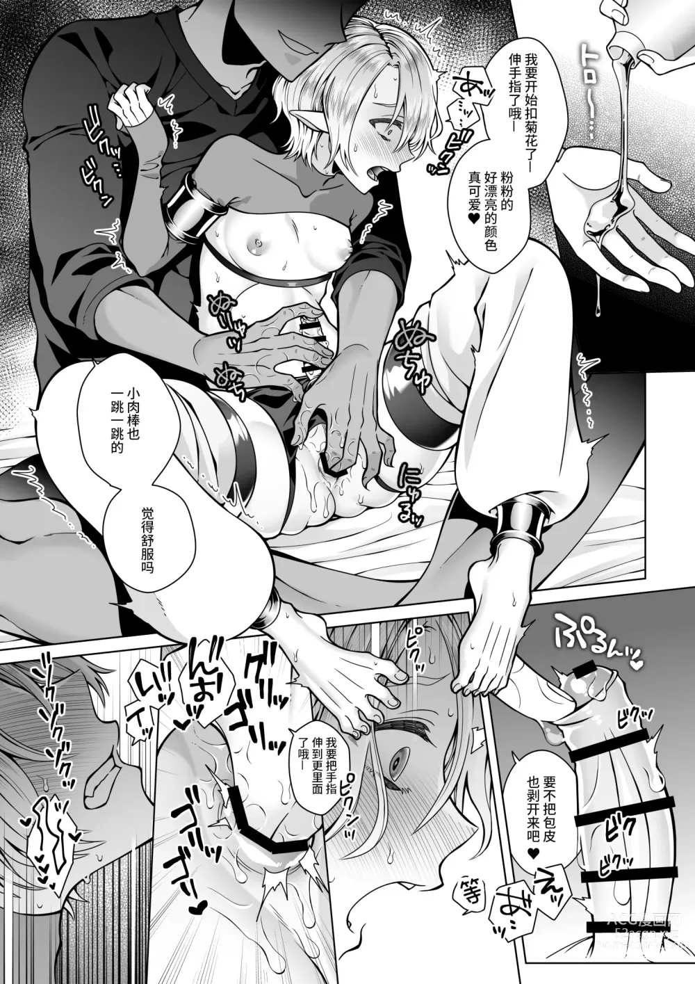 Page 40 of doujinshi Futago Elf no junan