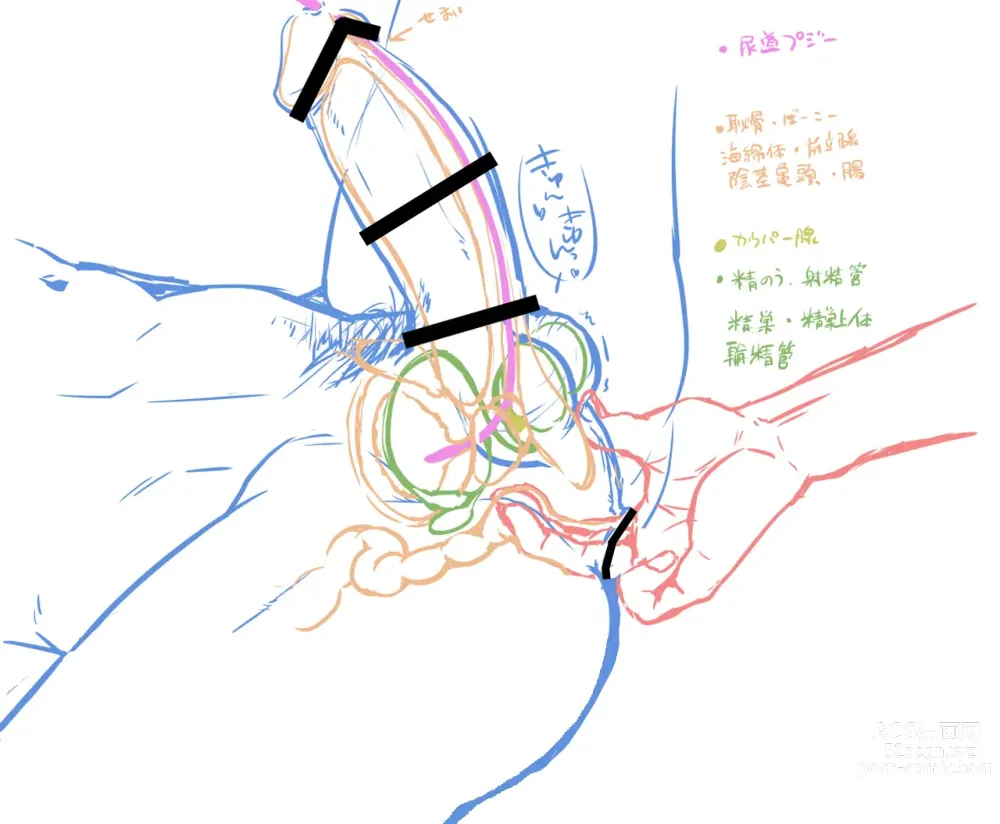 Page 29 of doujinshi Suikan Rape AV Kikaku to wa Shirazu Damasareta Shirouto DK no Muku Anal Rinkan 1+2 Full Color Ban