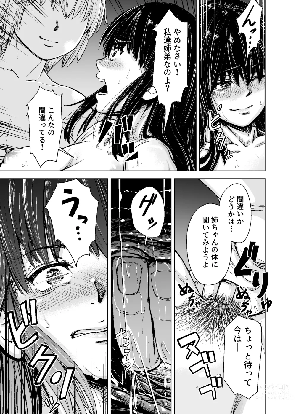 Page 20 of doujinshi Mou, Ane to Shite Ninshiki Dekinai.