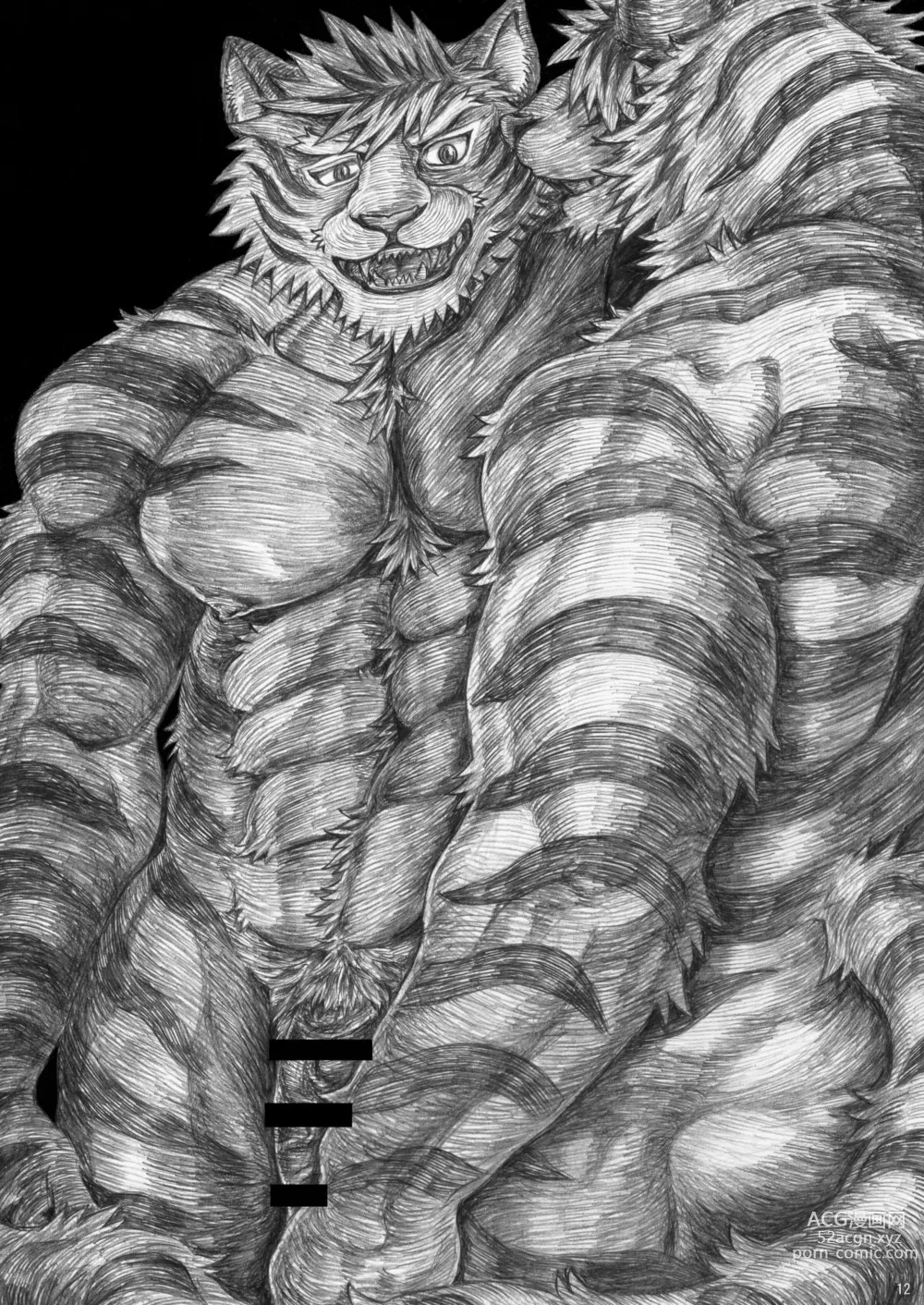 Page 11 of doujinshi TIGER