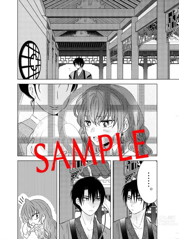 Page 5 of doujinshi (Hibiki [Tsūhan hajimarimashita] ibitsuna merō(Akatsuki no Yona)