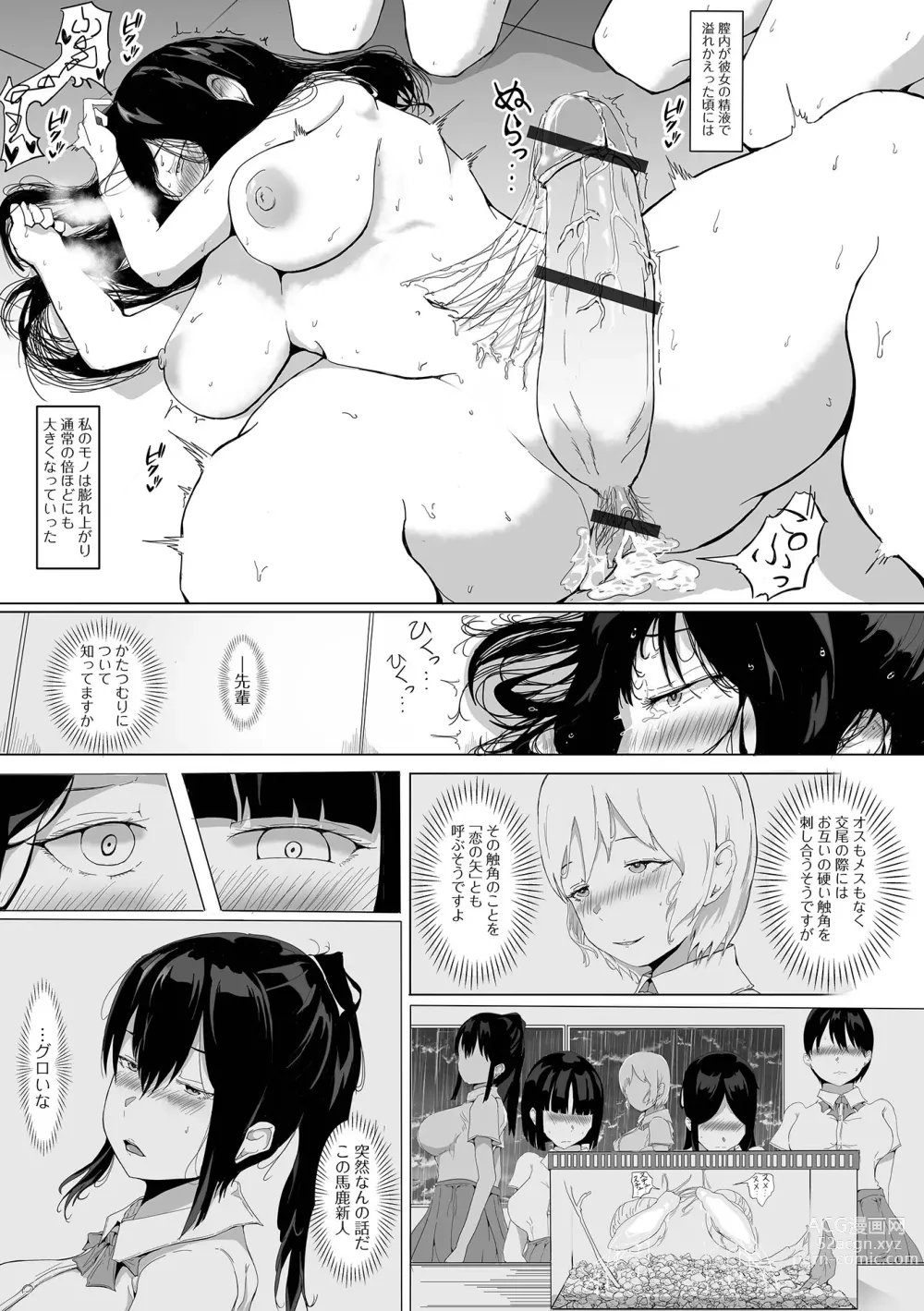 Page 31 of manga Futanari Friends! 17