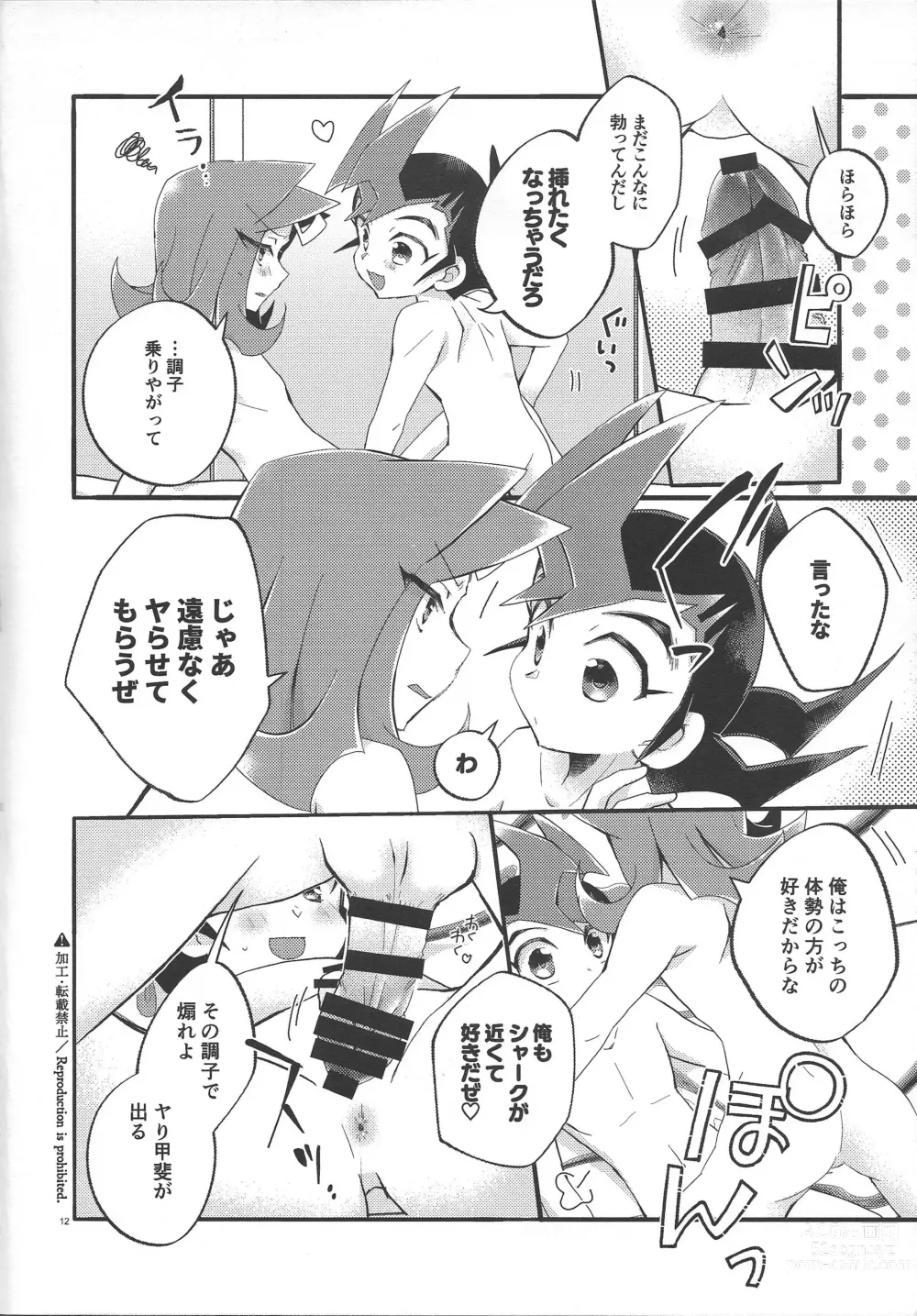 Page 11 of doujinshi Seiiki