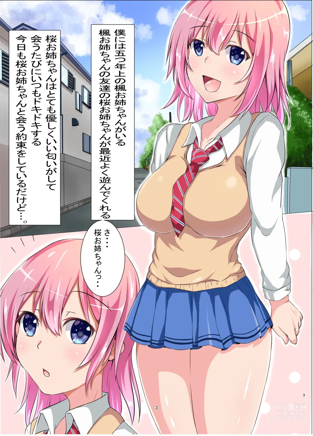 Page 3 of doujinshi Boku to Ecchi na Onee-san