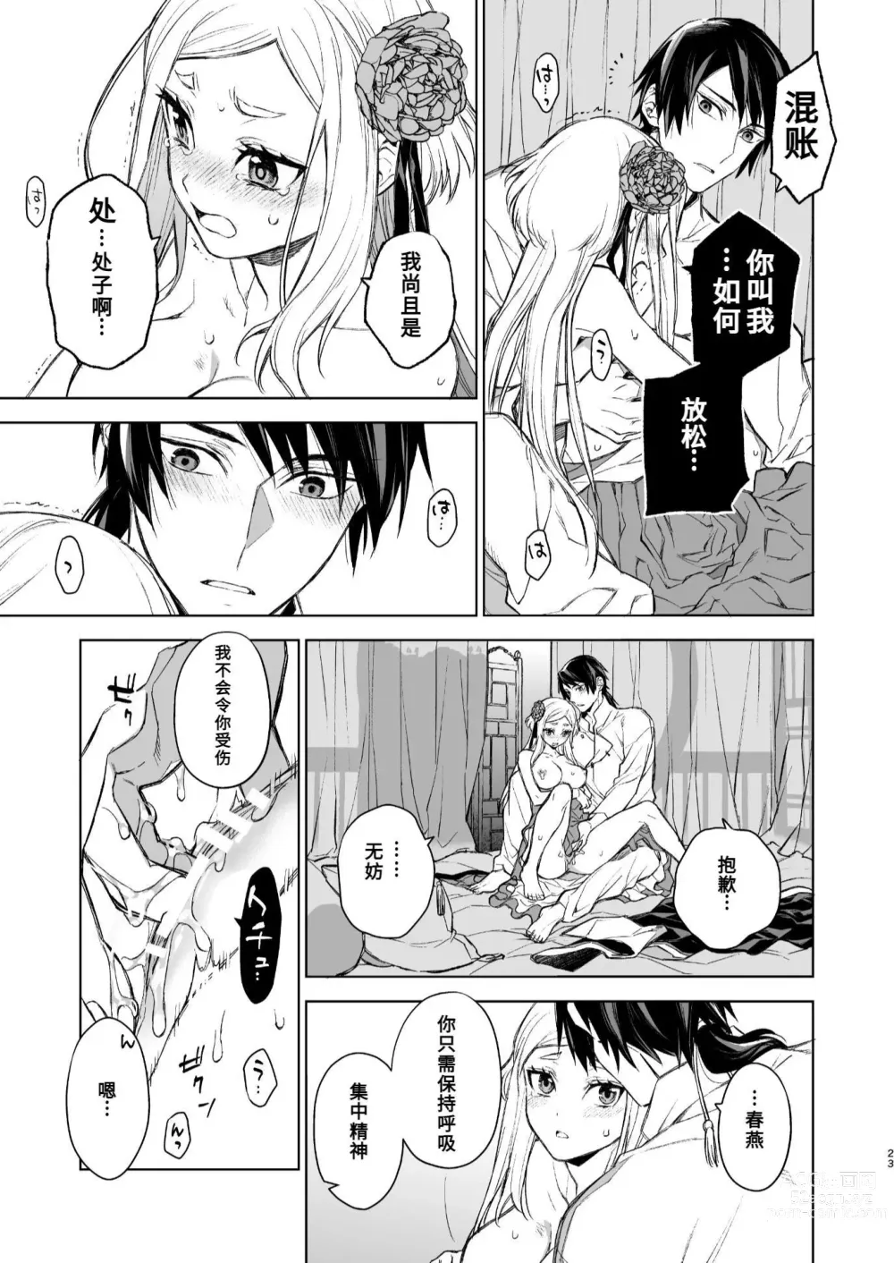 Page 22 of doujinshi 燕岚闺中顾话