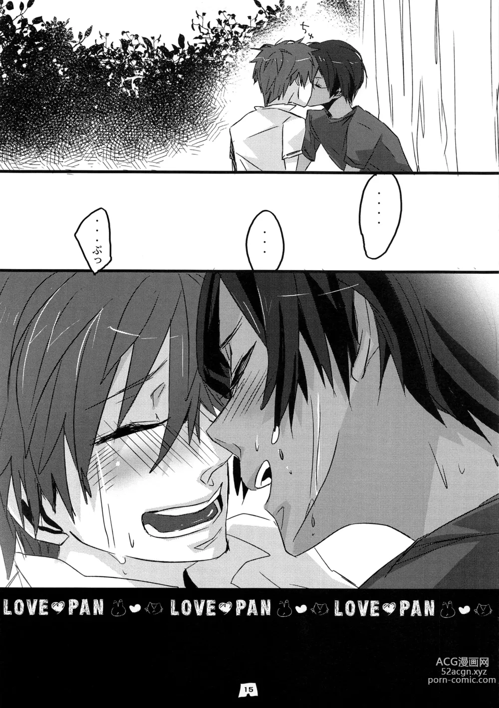 Page 14 of doujinshi LOVE PAN