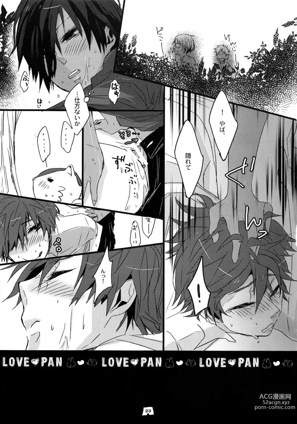 Page 22 of doujinshi LOVE PAN