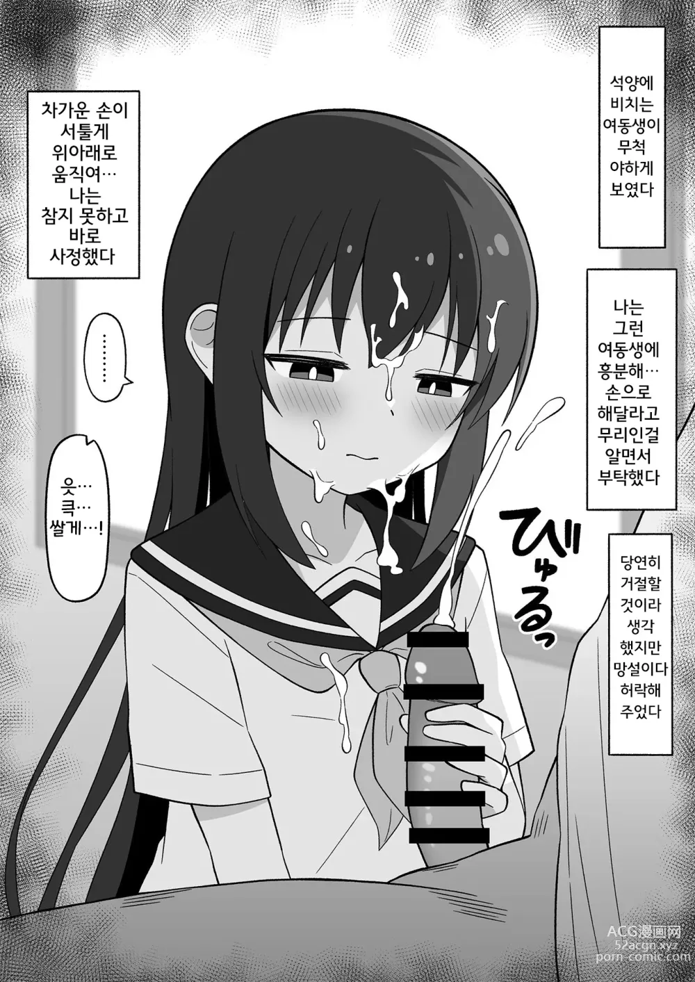 Page 25 of manga 히키코모리 여동생을 어떻게든 해보려는 오빠의 이야기