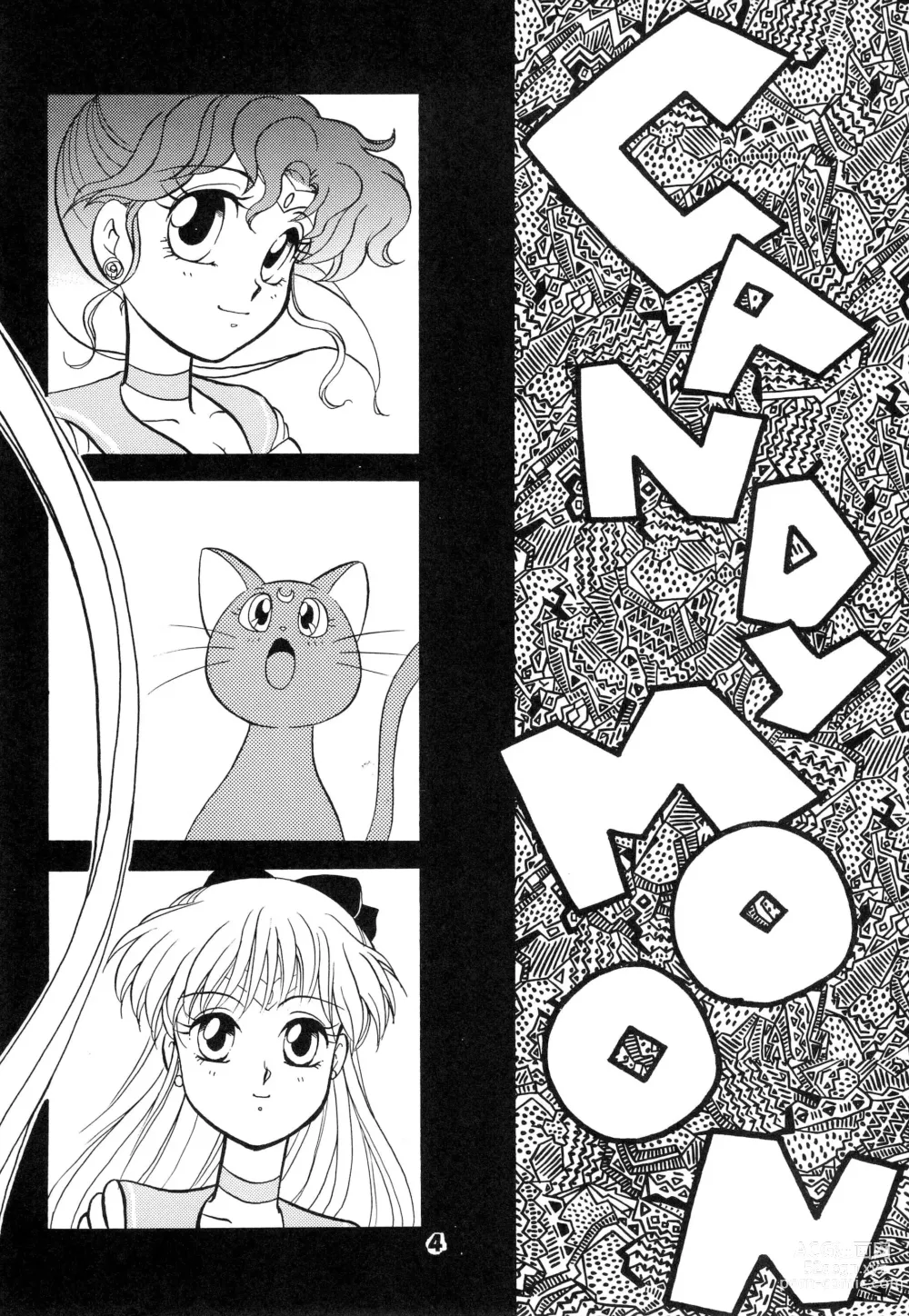 Page 4 of doujinshi CANDY MOON