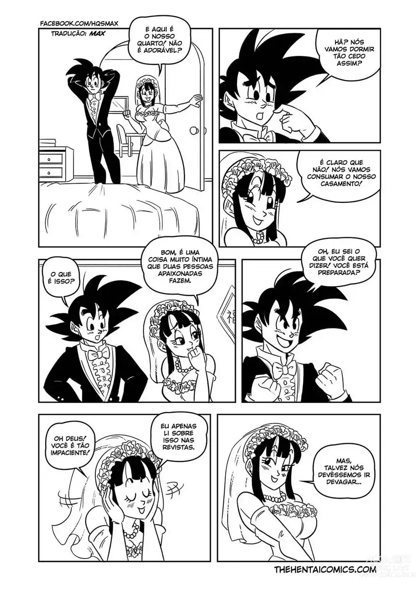 Page 3 of doujinshi funsexydb Goku e Chichi Lua de mel