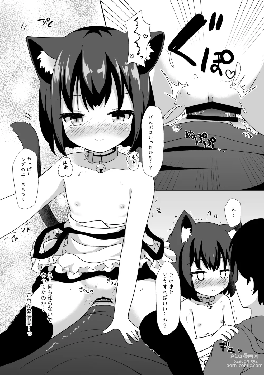 Page 12 of doujinshi Gochuumon wa Nandesuka?