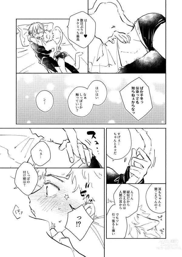 Page 14 of doujinshi nyan nyan