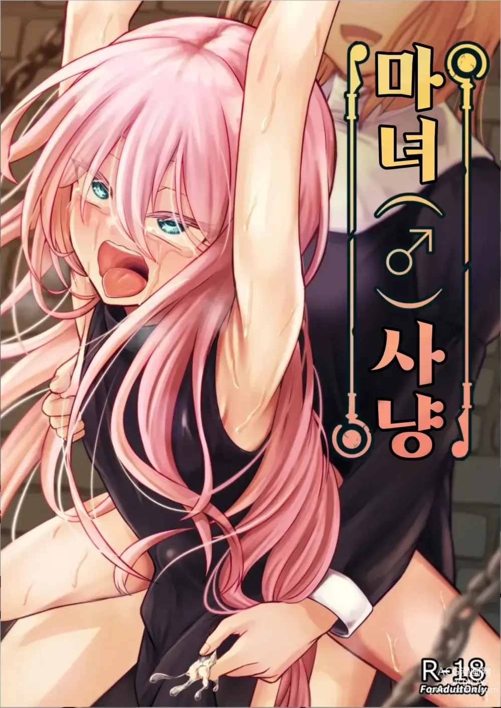 Page 1 of doujinshi 마녀 (♂) 사냥