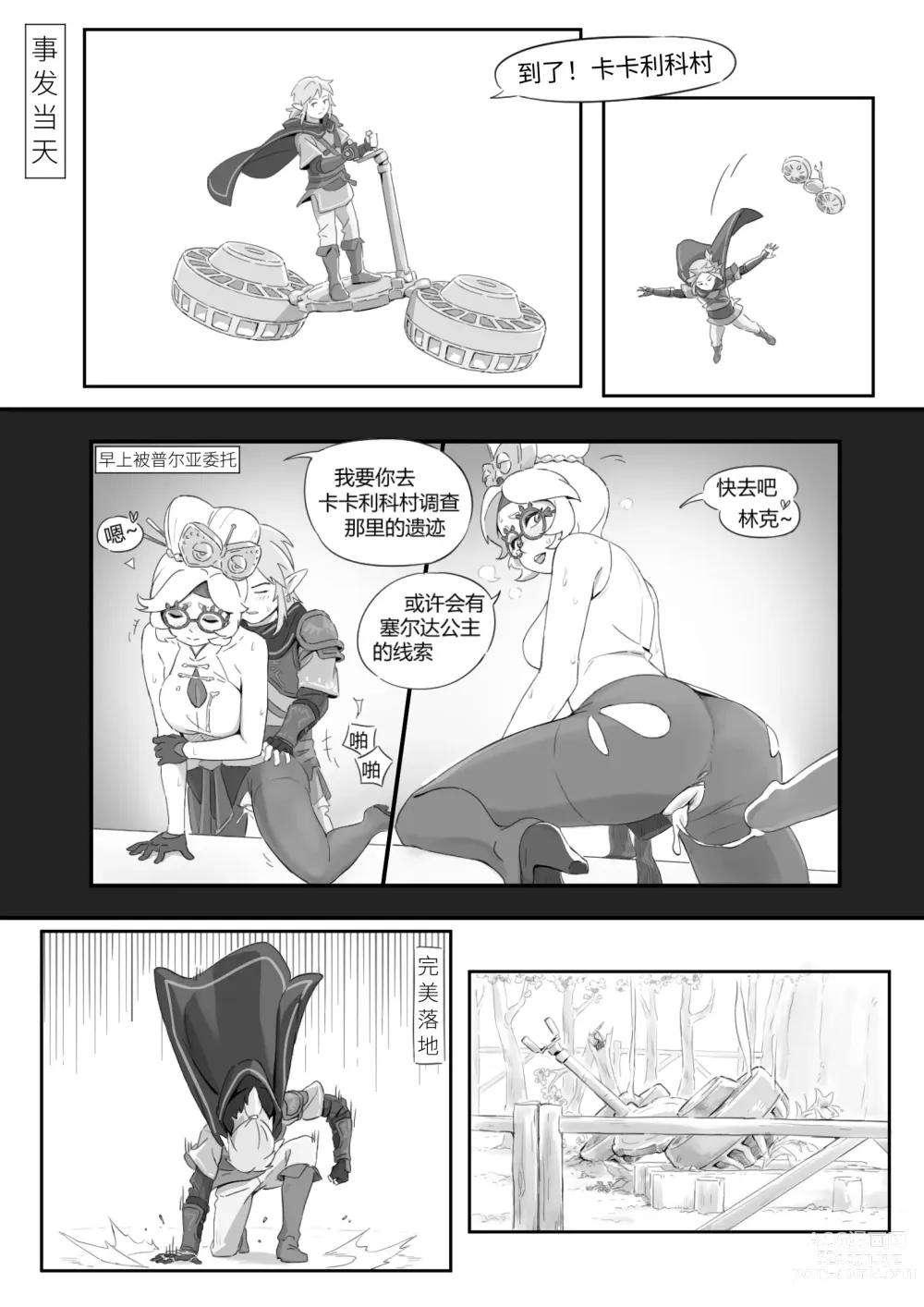 Page 3 of doujinshi 海拉鲁欲望传说