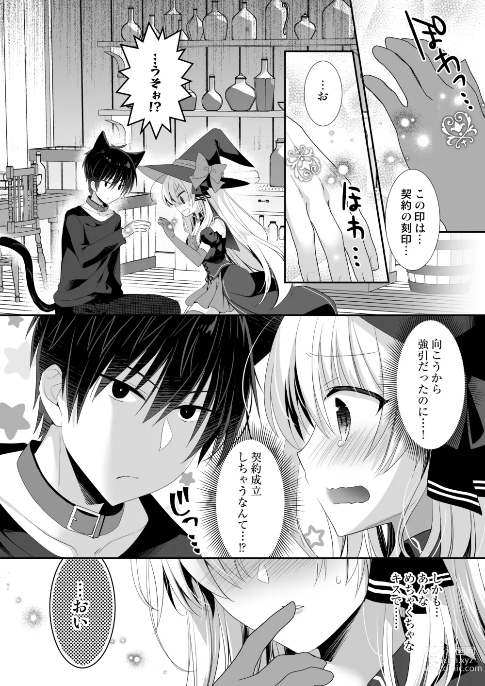 Page 11 of doujinshi Ponkotsu Majo to Ijiwaru na Neko. -Shoukan Shita Tsukaima ga Iu Koto o Kiite Kuremasen!-