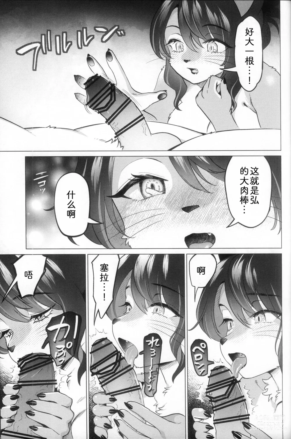 Page 12 of doujinshi 毛羽未丰