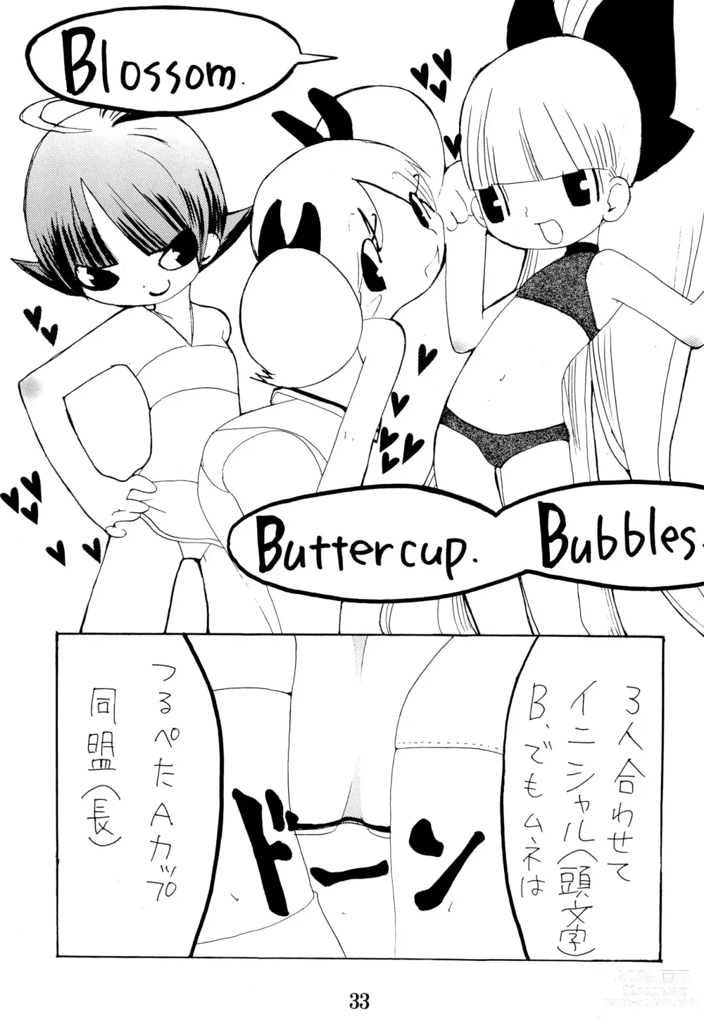 Page 35 of doujinshi PPG FLASH!