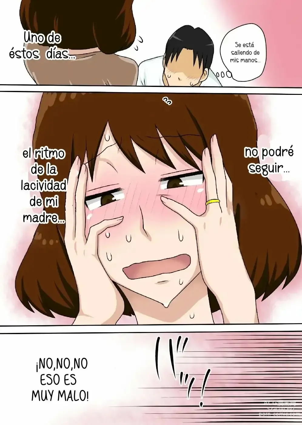 Page 18 of doujinshi Naka no Warukatta Haha to Musuko ga Amaama Couple ni Naru made