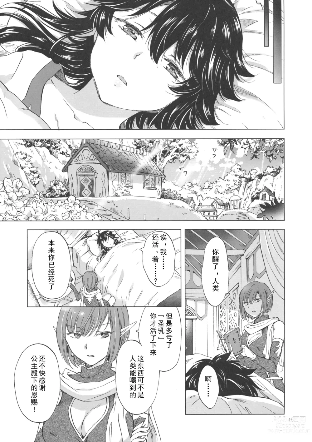 Page 14 of doujinshi Seinaru Chichi no Elf Hime