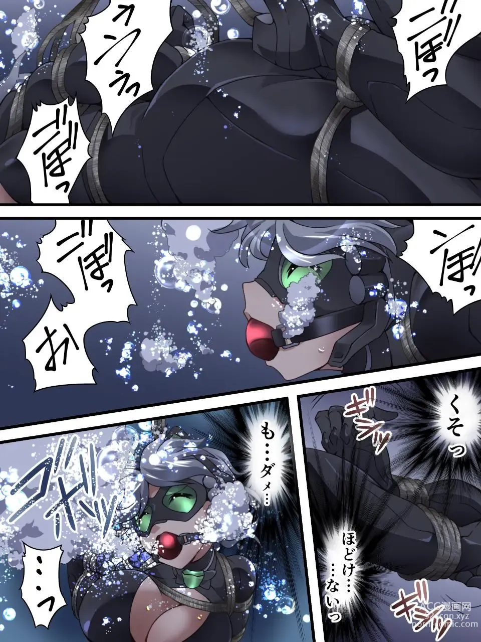 Page 61 of doujinshi Kaitou Silver Cat Manga Ban