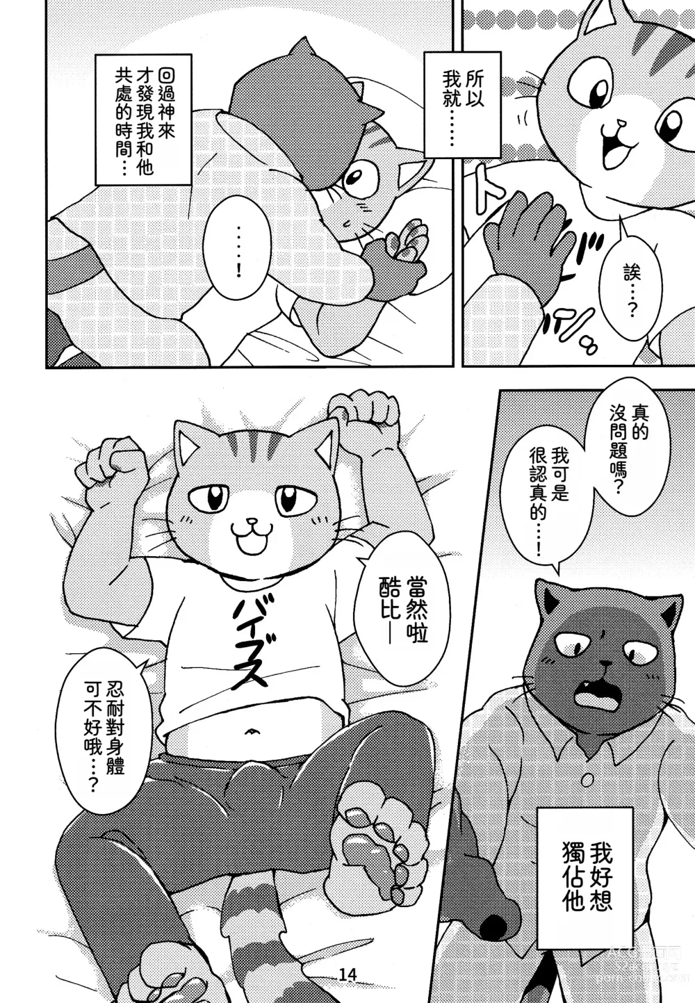 Page 14 of doujinshi 閃耀吧！小哥