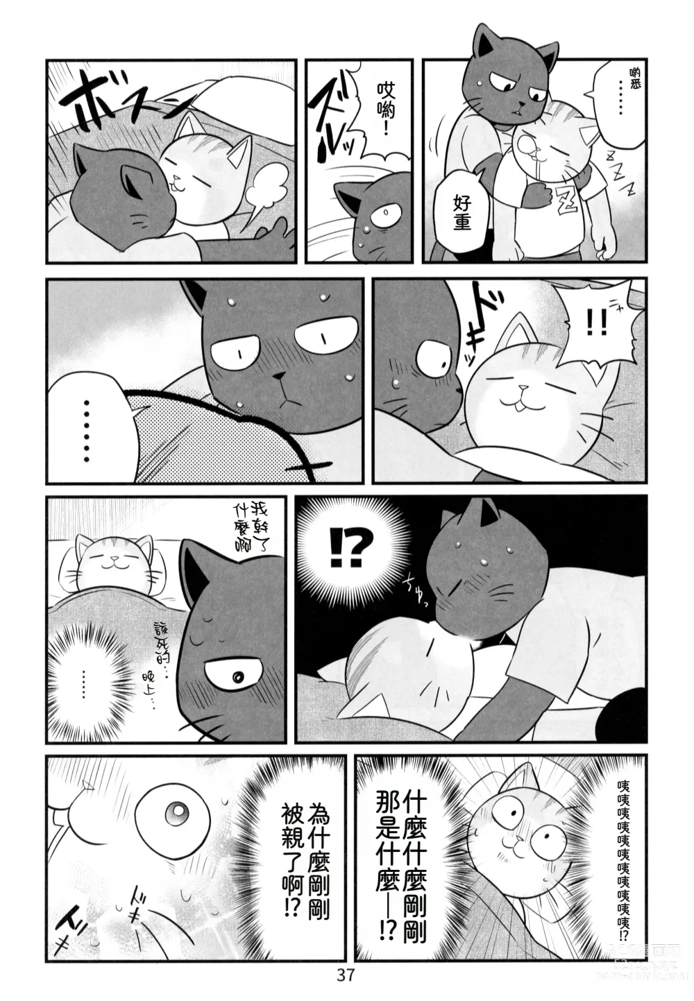 Page 37 of doujinshi 閃耀吧！小哥