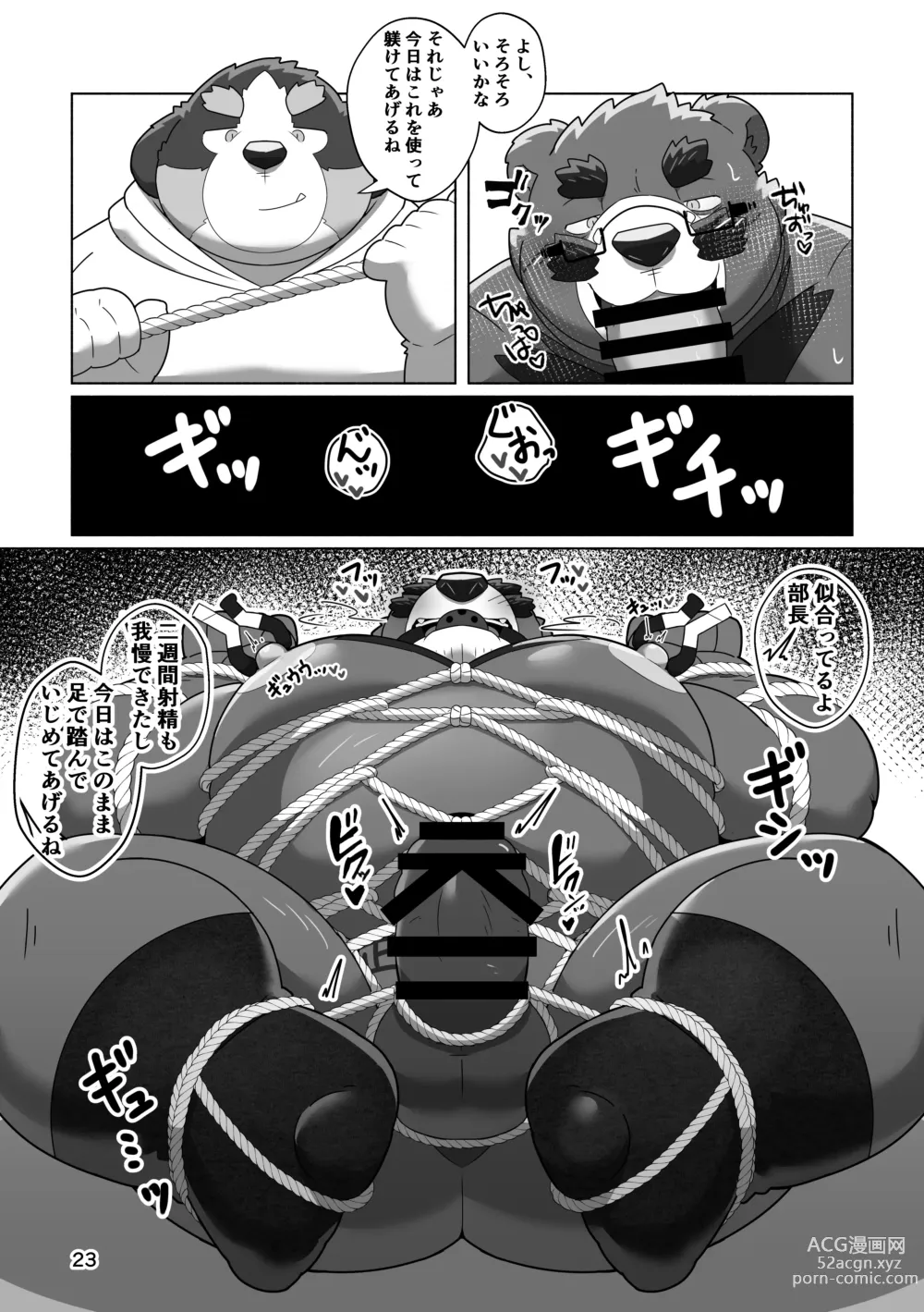 Page 21 of doujinshi Kuma buchō no himitsu