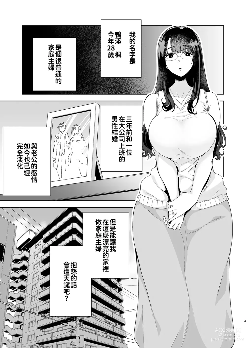 Page 4 of doujinshi ワイルド式日本人妻の寝取り方 総集編